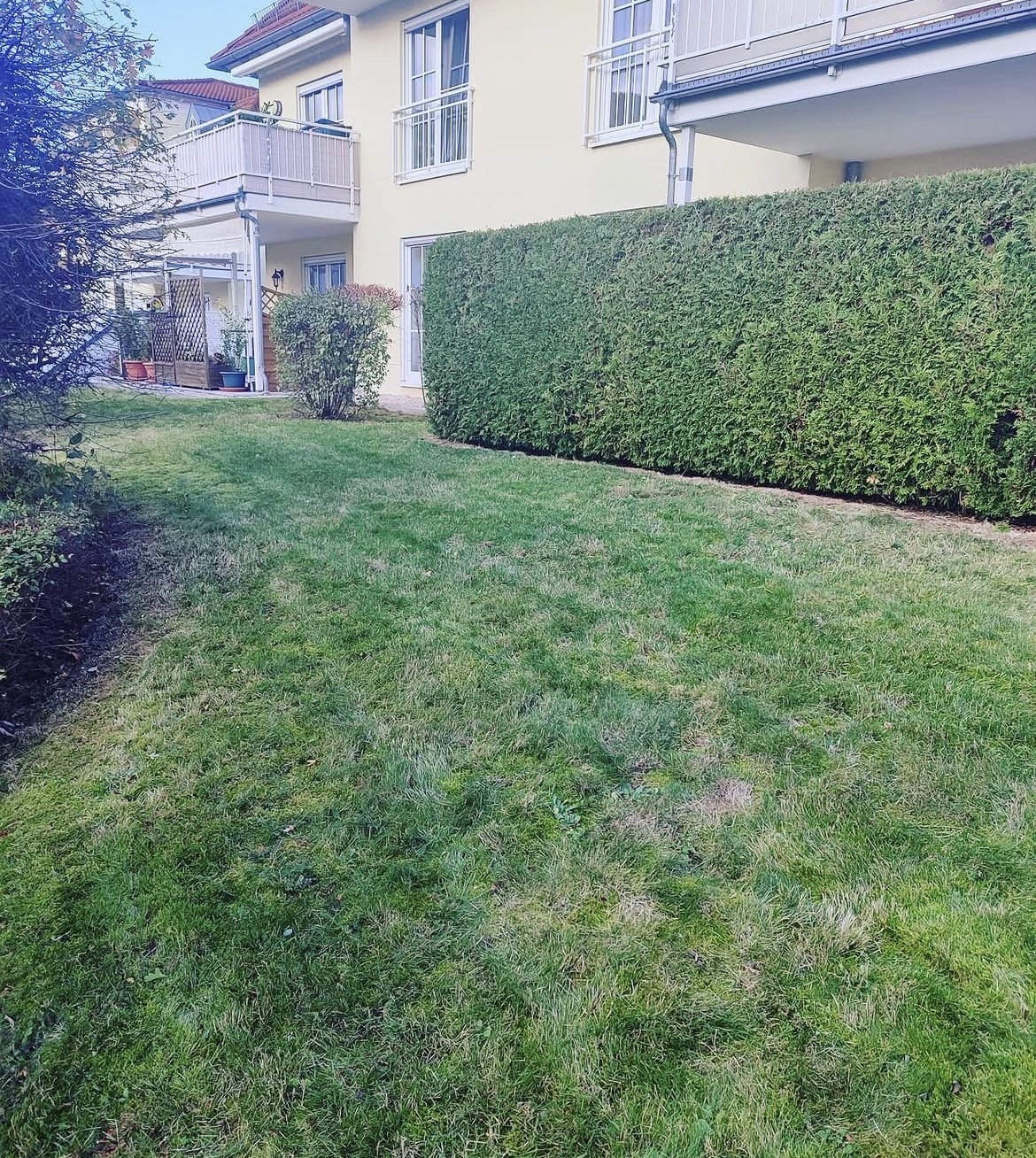 Gartenpflege & Heckenschnitt — Hausmeisterdienstleistungen